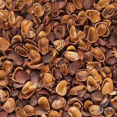 Скорлупа Кедрового Ореха (Barus Nut Shell) купить  в Саратове